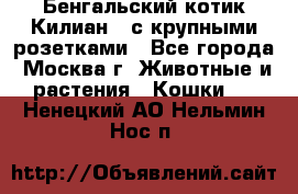 Бенгальский котик Килиан , с крупными розетками - Все города, Москва г. Животные и растения » Кошки   . Ненецкий АО,Нельмин Нос п.